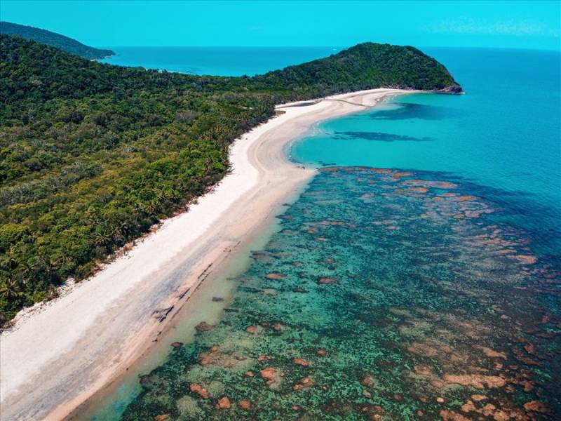 Rain forest beside the sands and ocean corals at Cape Tribulation, Great Barrier Reef.
