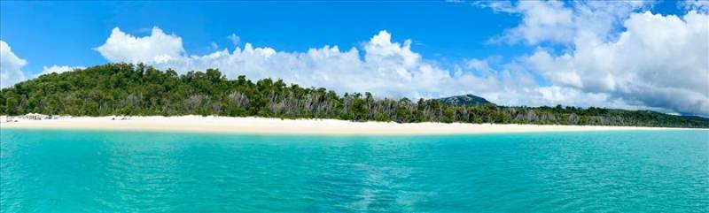 Ocean and tree-backed sands of Whitehaven Beach on the East Coast of Australia.