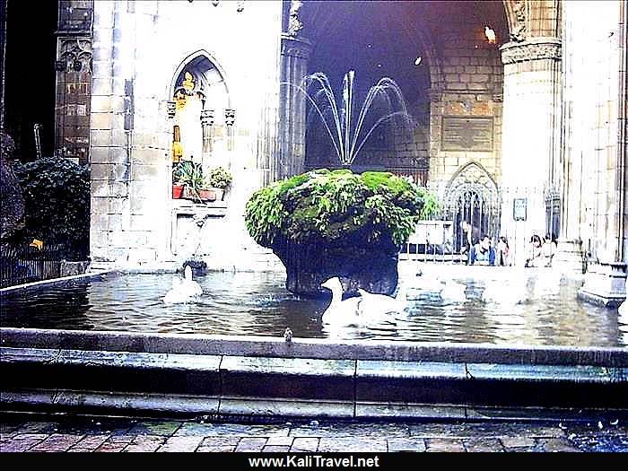 Pond in the cathedral cloisers with a fountain and geese swimming.