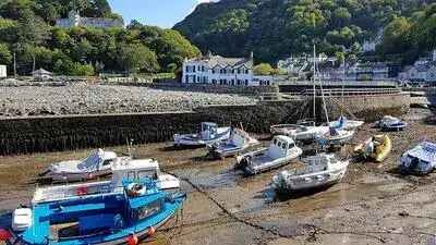 Harbour at low tide, row of boats on a ramp, by sea wall, houses and trees in background.