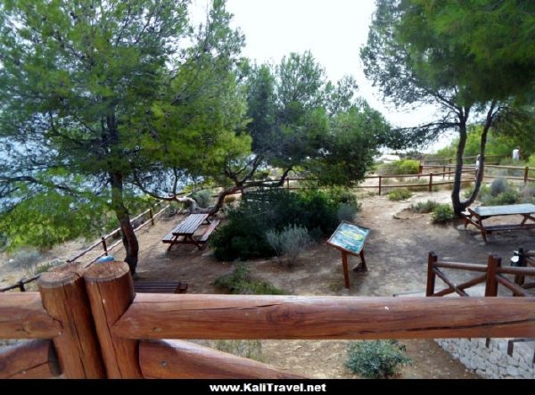 Benissa coastal walk with picnic area under pine trees.