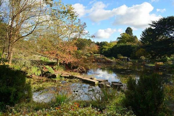 Lake and trees at Cambridge Botanical Gardens in England.