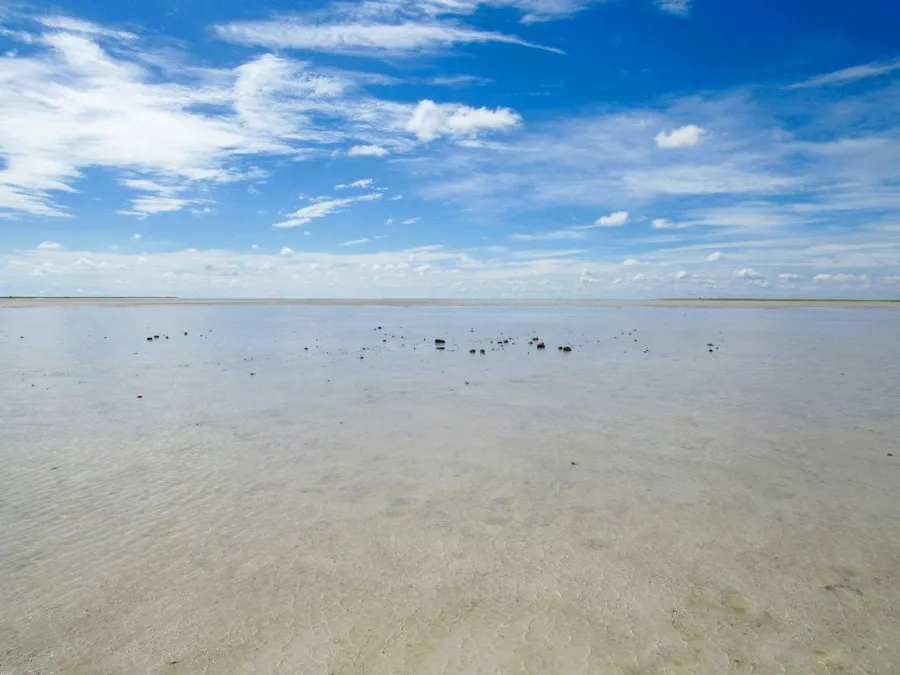 Shallow floodwaters under a blue sky, stretching across Makgadikgadi Pans in Botswana.