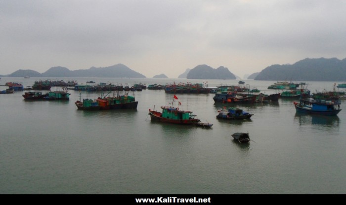 catba-fishing-boats-lan-ha-bay-halong-vietnam