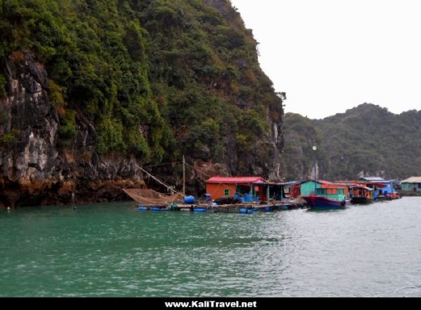 catba-fishing-net-lan-ha-bay-halong-vietnam