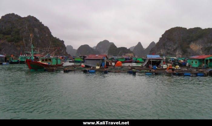 catba-floating-village-lan-ha-bay-vietnam