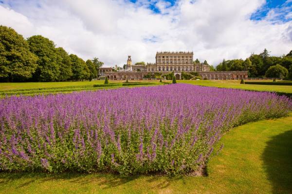 Flowerbed on the lawns in front of Cliveden House, an easy day trip from London.