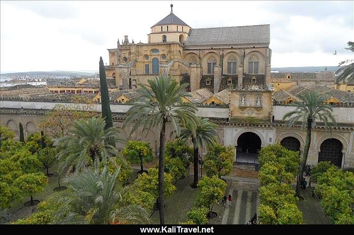 Orange trees and palms in the Andalusia style patio in front of the Cathedral Mosque.