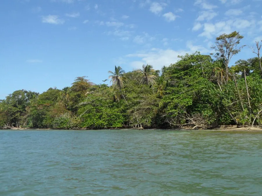 View from the sea to jungle-backed Caribbean coast of Cahuita nature reserve.