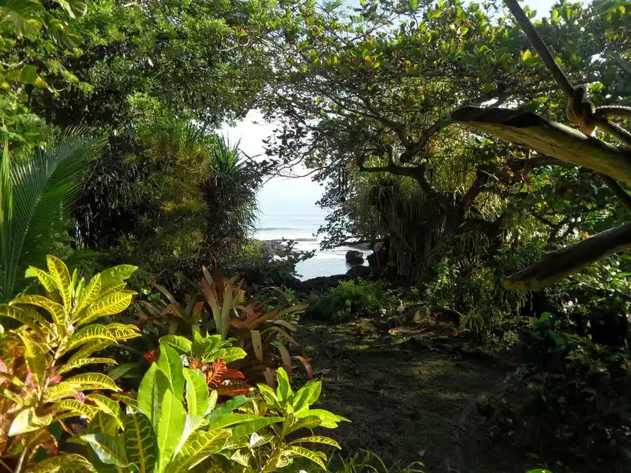 Gardens and natural sea pool at Piscina Natural in Playa Negra, Cahuita.