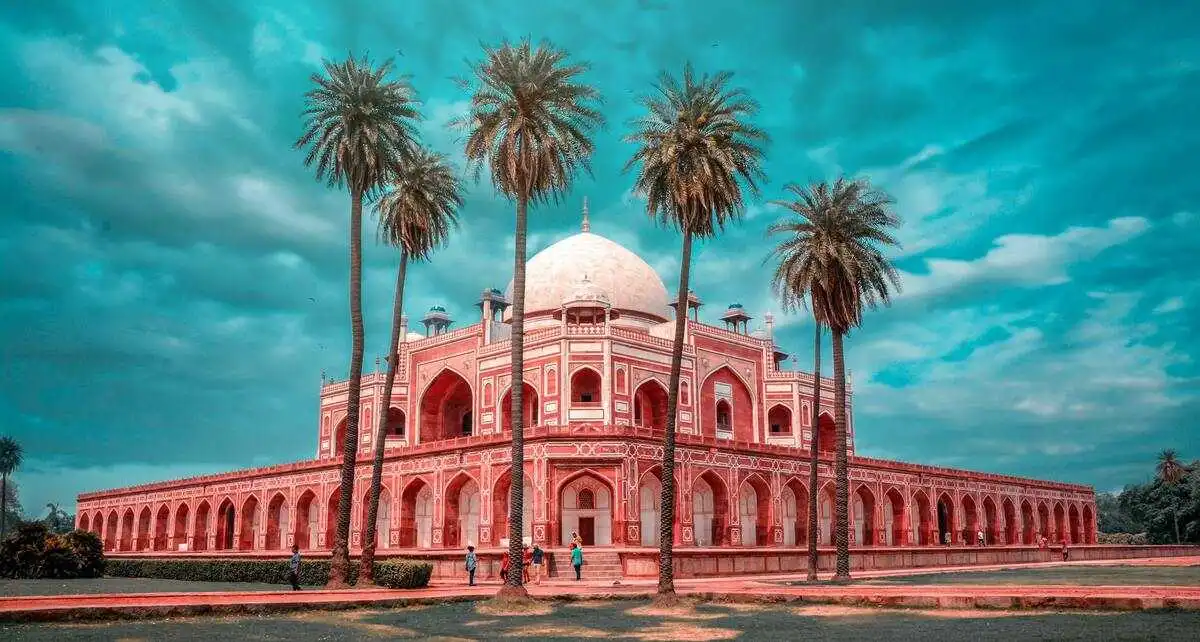 Palm trees in front of Humayun’s Tomb in Delhi.