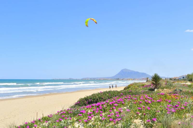 Les Deveses beach in Dénia, sands and wild flowers.