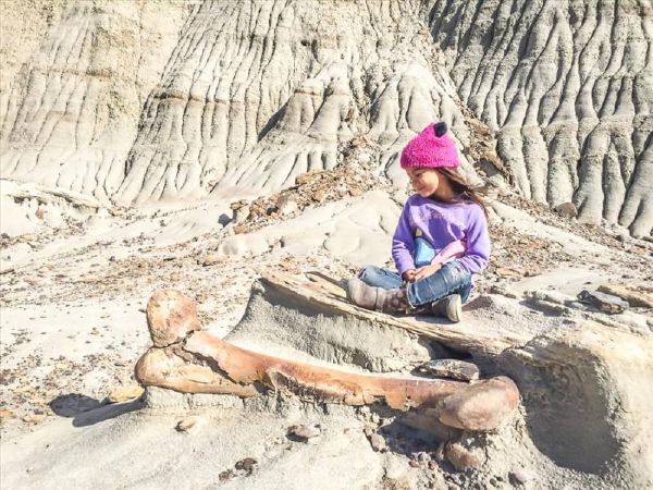Nick's daughter looking at prehistoric remainsat Dinosaur Provincial Park in Alberta. 