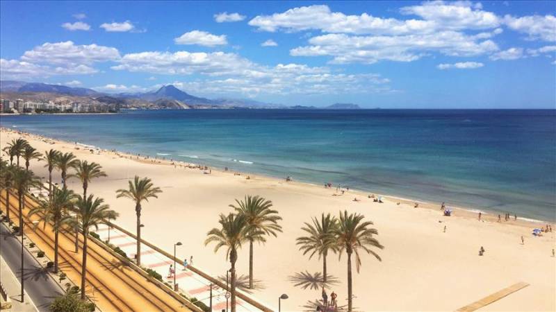 Sands and palm trees at Mucha Vista beach in El Campello, Costa Blanca.