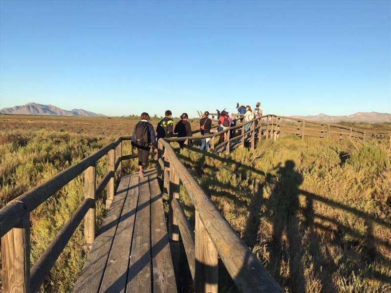 People walking over boardwalks at El Hondo wetlands in Elche.