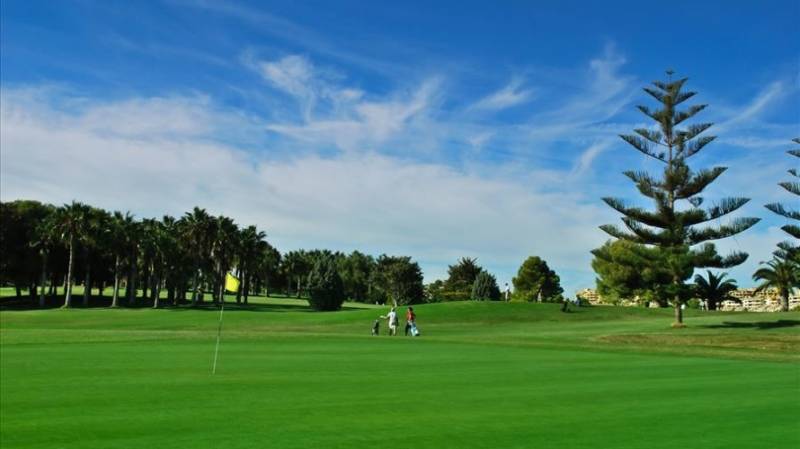 Orihuela Golf Club green on Costa Blanca in Spain.