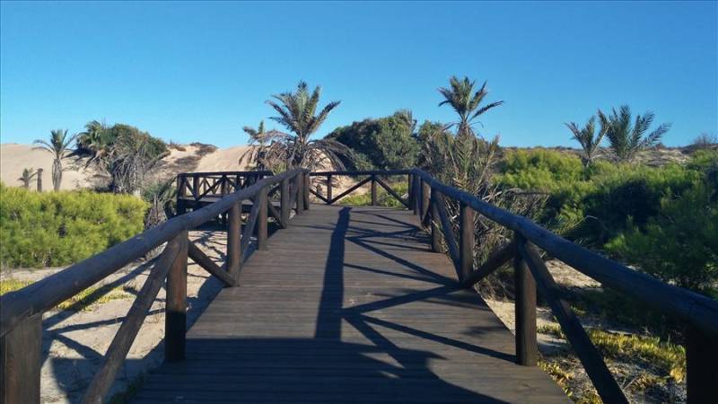 Boardwalk protecting the sand dunes at Guardamar del Segura in Spain.