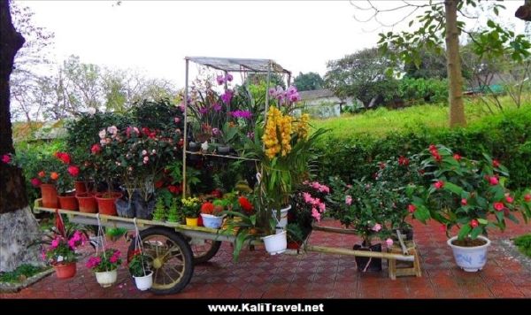 hue-flower-cart-vietnam