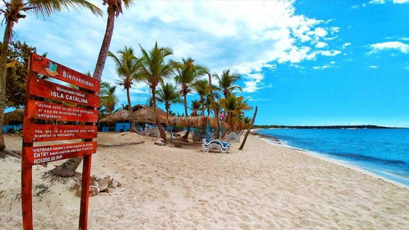 Palm trees on Isla Catalina Island, Punta Cana.