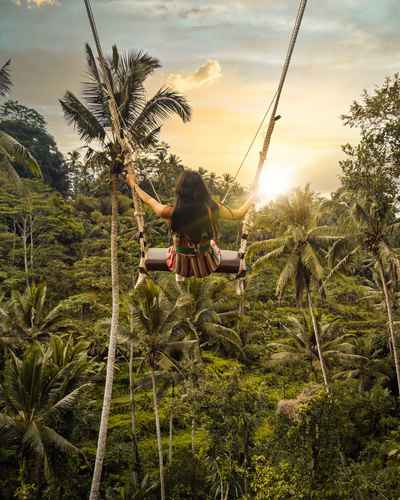 Girl on the jungle swing over the rice terraces of Ubud.