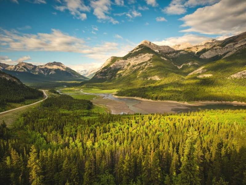 Pine clad river valley in Alberta's Kananskis foothills, Canada.