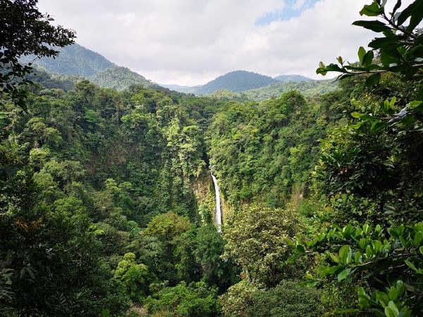 La Fortuna waterfall surrounded by jungle in Arenal Volcano National Park.