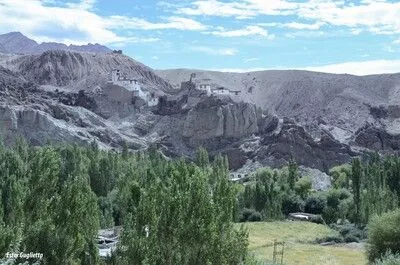 Arboles y paisje verde con montañas áridas y un monasterio al fondo.