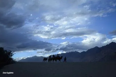 Gente paseando en camello por el desierto de arena entre montañas.