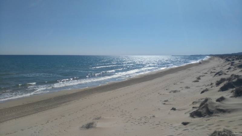 Sea, sands and dunes of Les Pesqueres Beach on Elche coast in Costa Blanca.