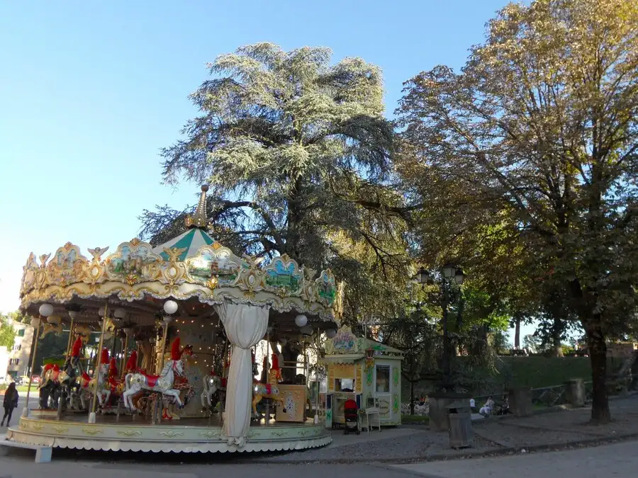 Carousel merry-go-round in tree-lined avenue.