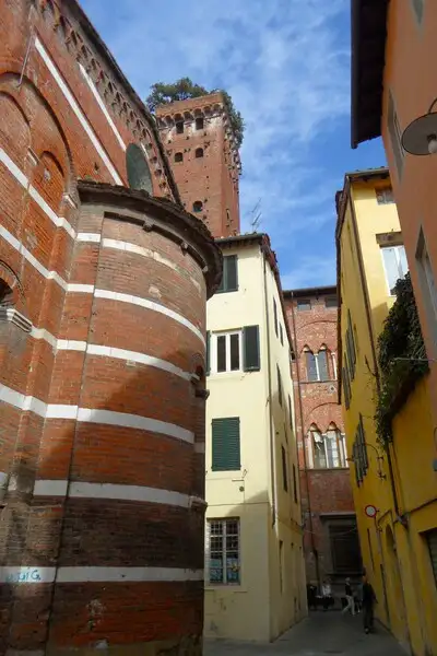 Must-see medieval Guinigi Tower in a 1 day itinerary of Lucca.