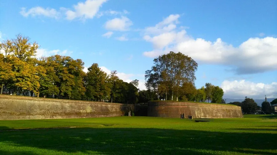 Lucca's medieval walls with tree-lined walk.