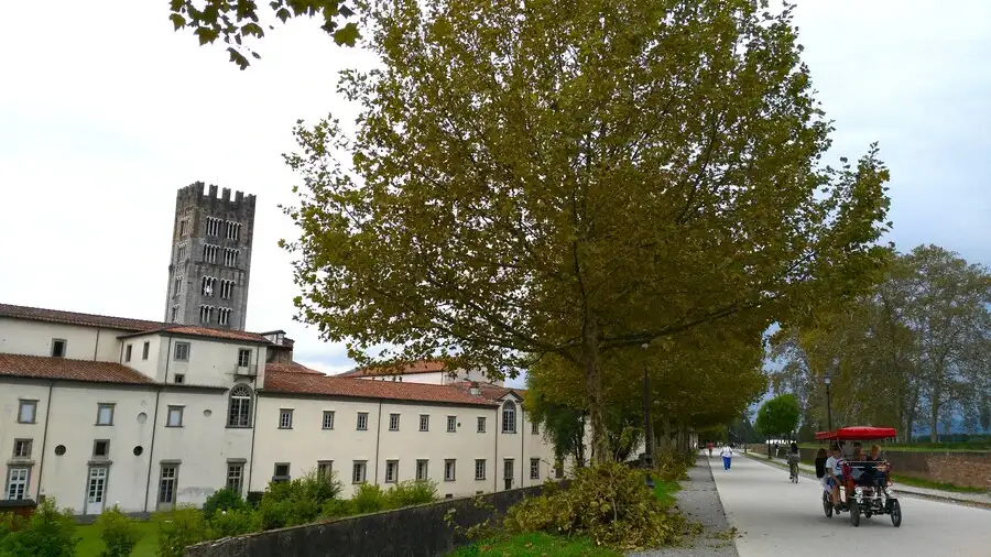 Cycle buggy on the tree-line path on top of Lucca walls.