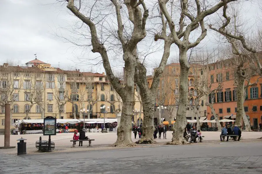 Napoleone square with trees, benches and stalls.
