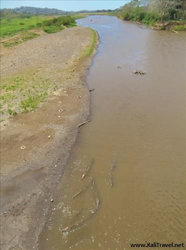 tárcoles _river_crocodile_bridge_costa_rica