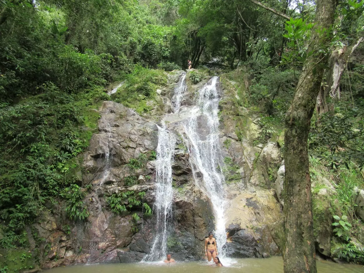 3 personas bañandose en una cascada en un bosque de montaña.