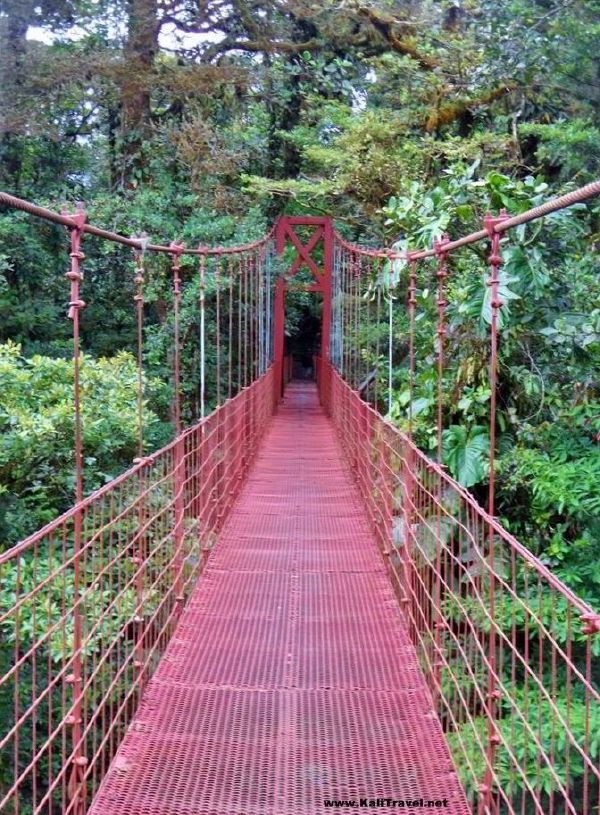 Red rope bridge in Monteverde Tropical Cloud Forest Nature Reserve, Costa Rica.