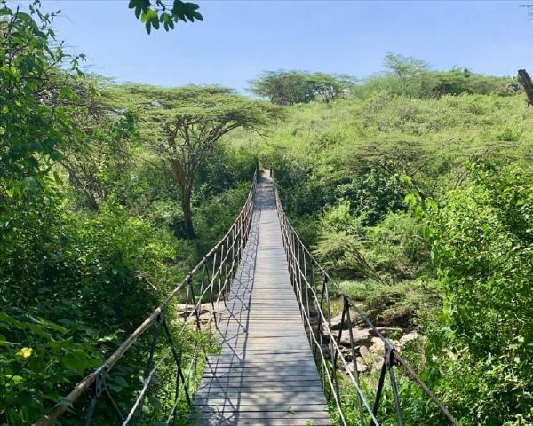 'Hanging bridge' boardwalk crossing the bush in Kenya's Nairobi National Park.