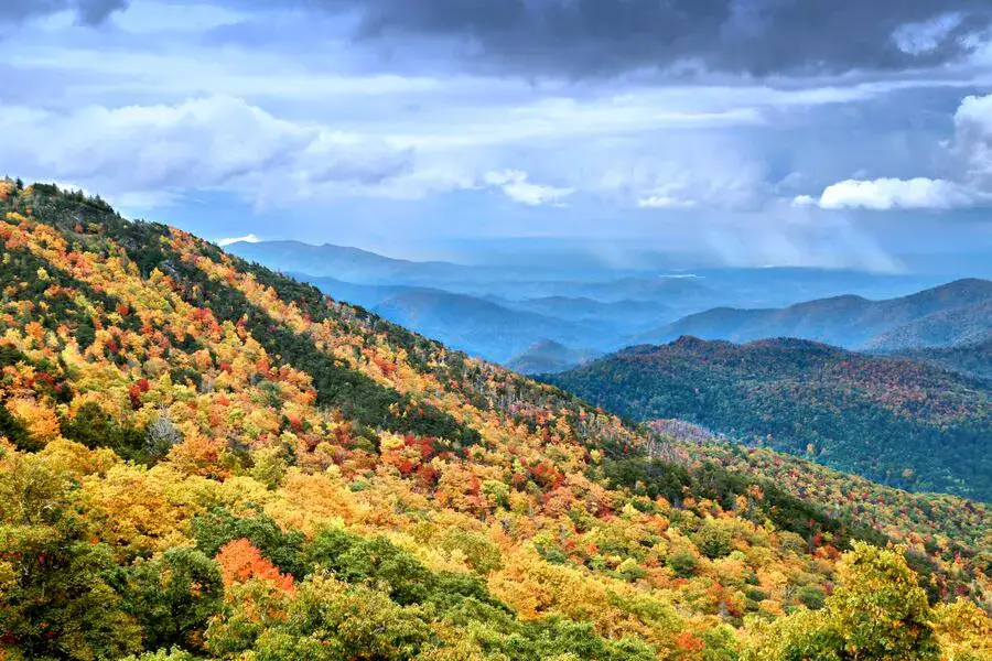 Trees with autumn colour leaves in the Blue Ridge mountains of North Carolina.