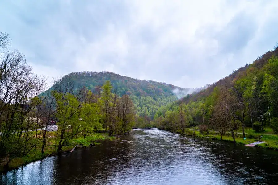 River lined with fir trees in the NC Smoky Mountains.