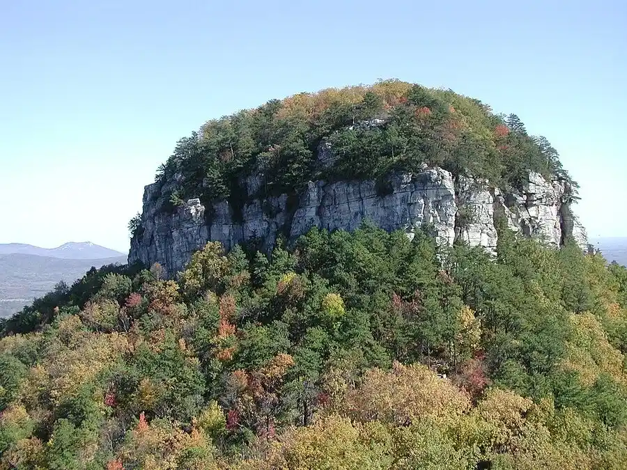 Knob shaped Pilot Mountain almost covered with trees.