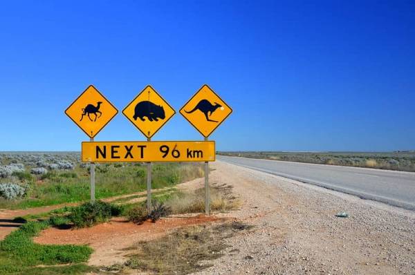 Crossing Nullarbor Plain warning sign 'next 96km' road in Australia.
