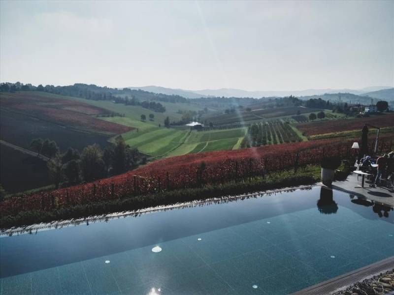 View over pool to Lambrusco vineyards at Opera 2 in Modena, Italy.