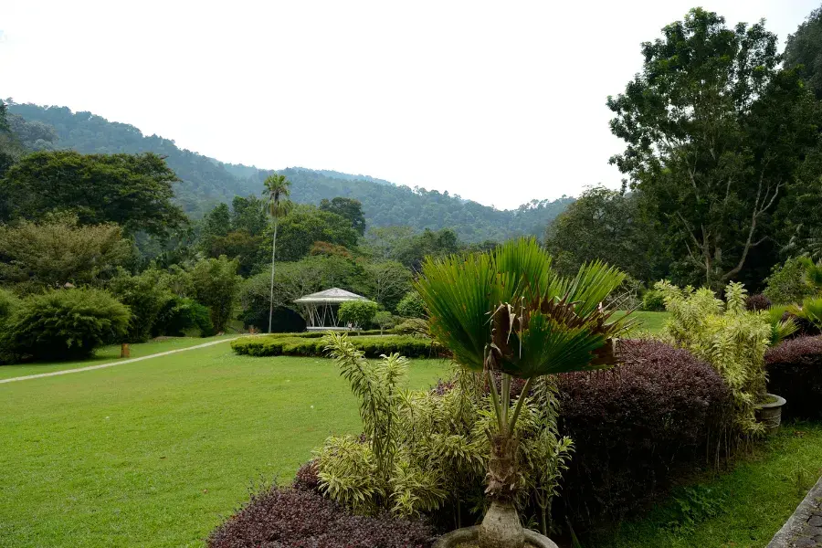 Lawns and shrubs in the botanic garden.