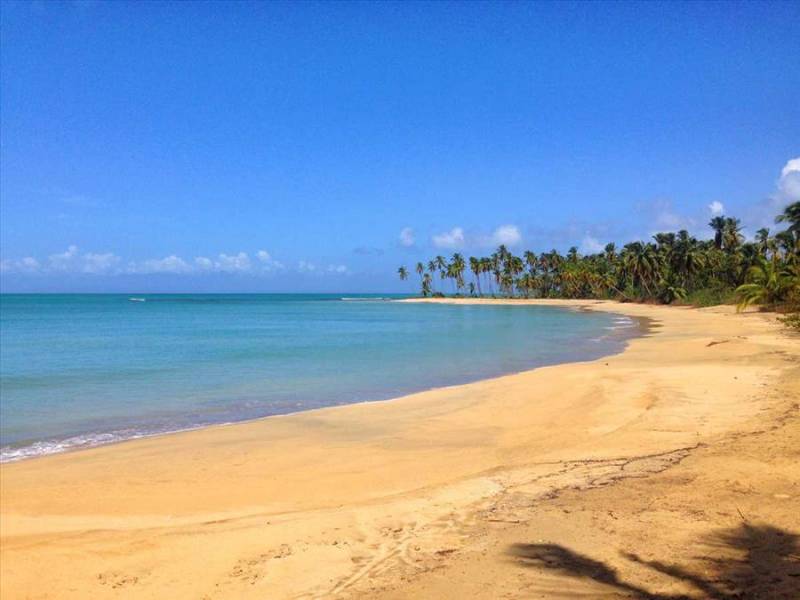 Turquoise sea and white sands of Playa Esmeralda, Punta Cana.