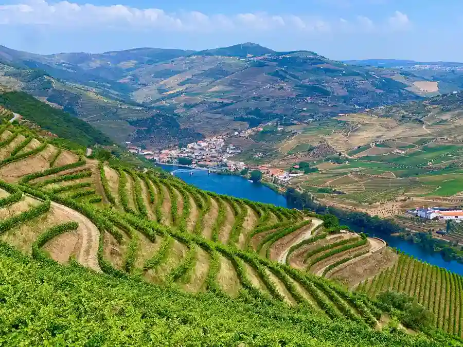 Vineyards over looking River Douro Valley and Porto.