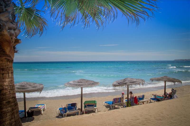 Palm sunshades on sandy Punta Prima beach in Orihuela Costa, Spain.