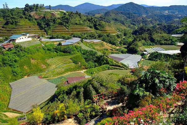 View of Rose Centre in a valley in Malaysia highlands.