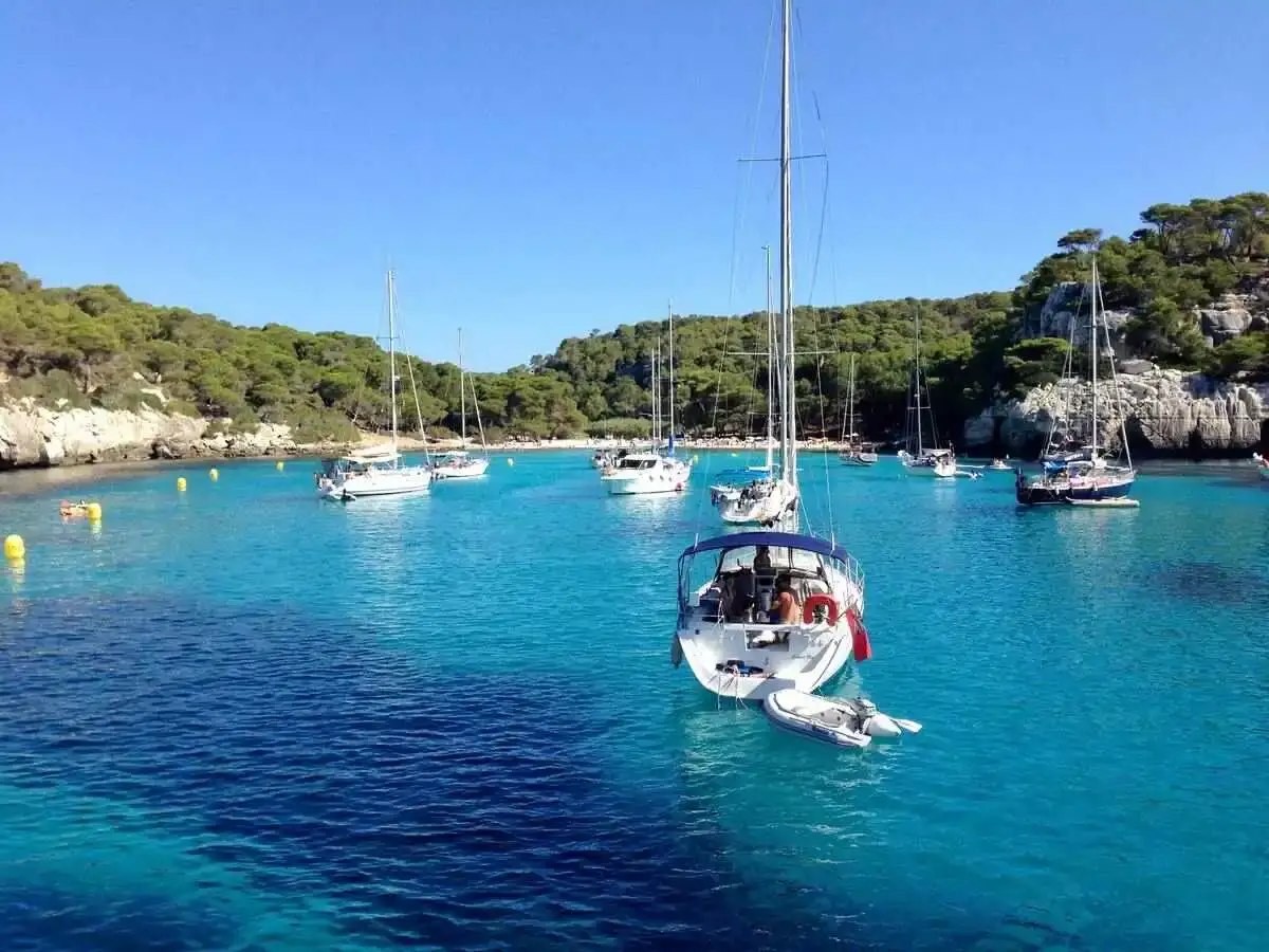 Sailing boats in calm sea in a cove bordered with pine trees.