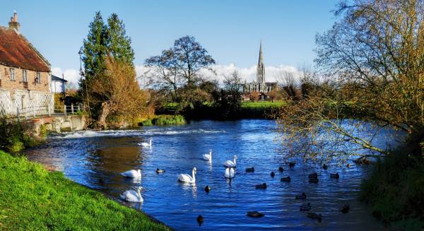 Salisbury Cathedral across Harnham Water Meadows, a beautiful day trip from London.